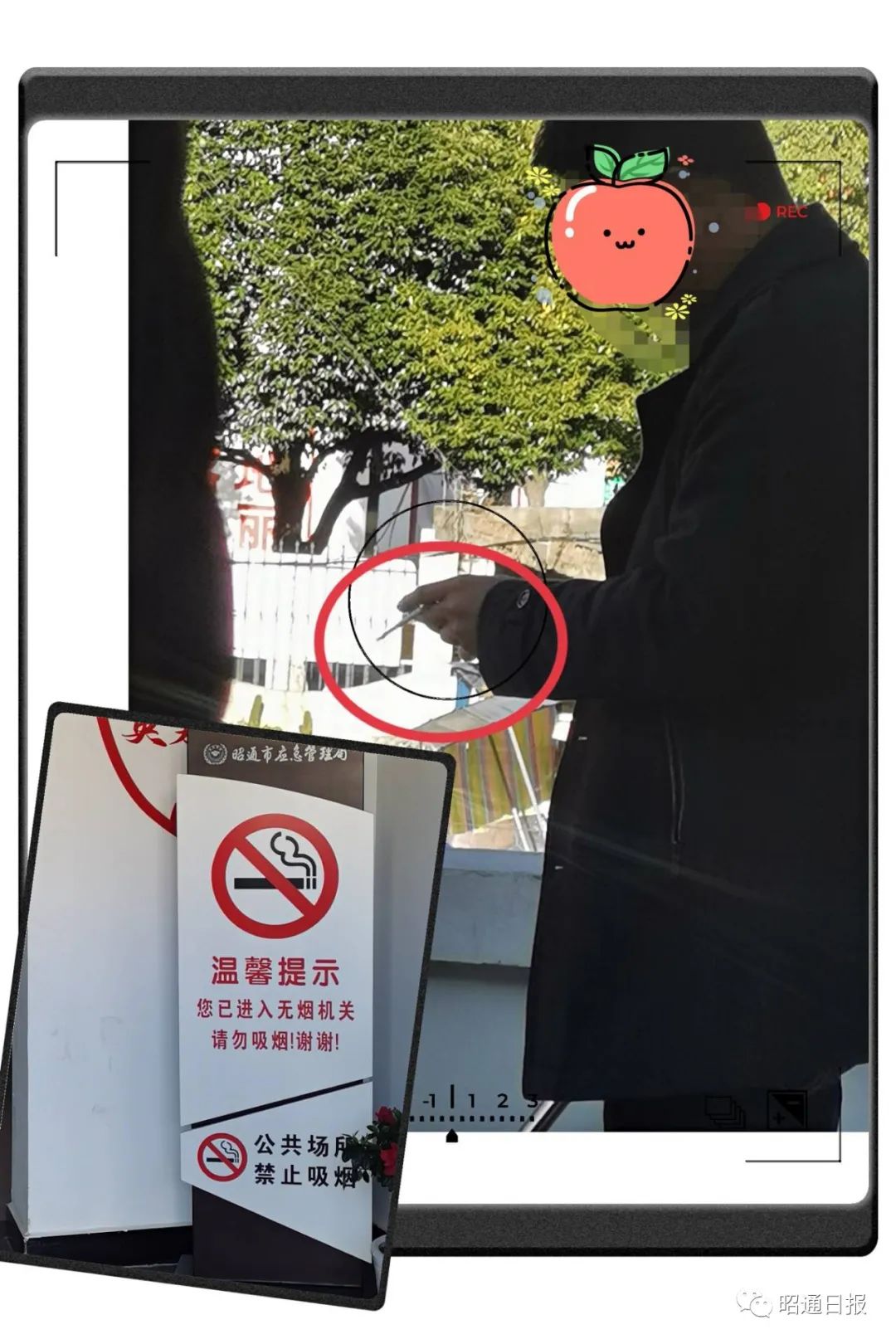 昭通日报