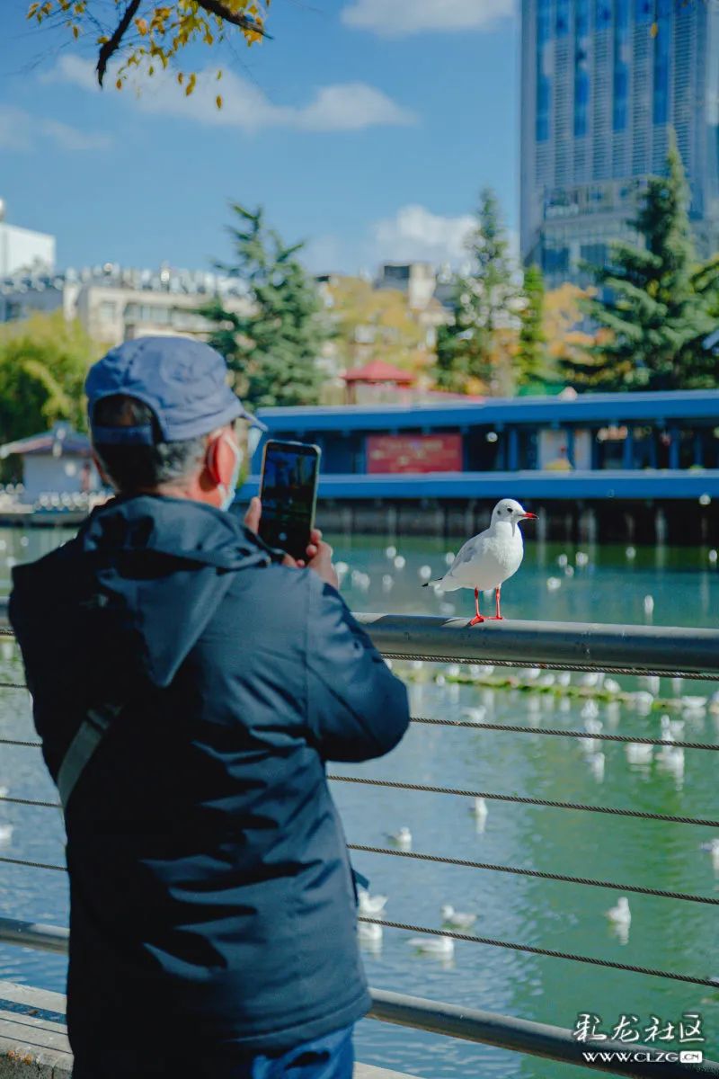 昆明信息港/cnkmxxg