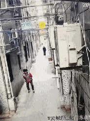 春城晚报