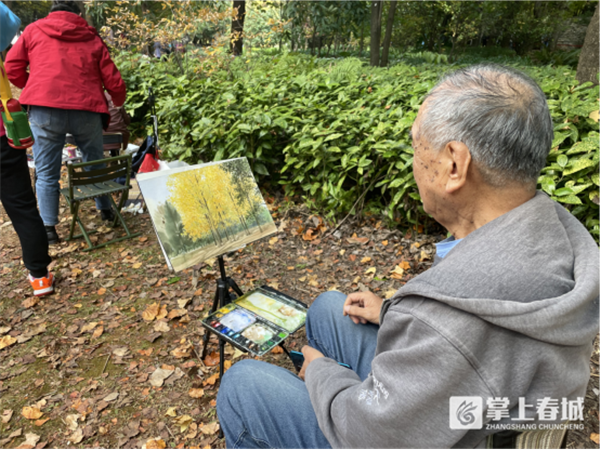 掌上春城