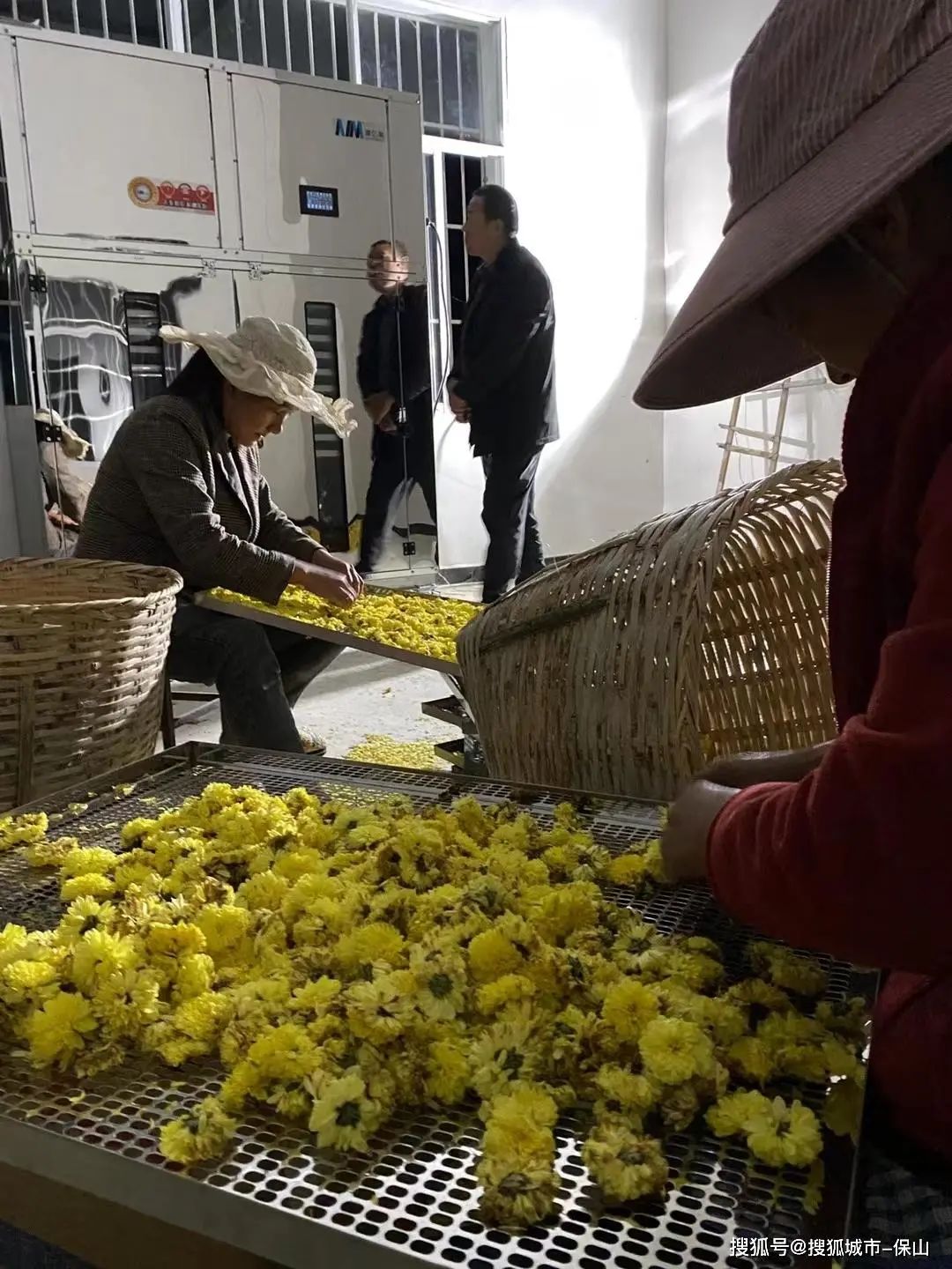保山新闻网