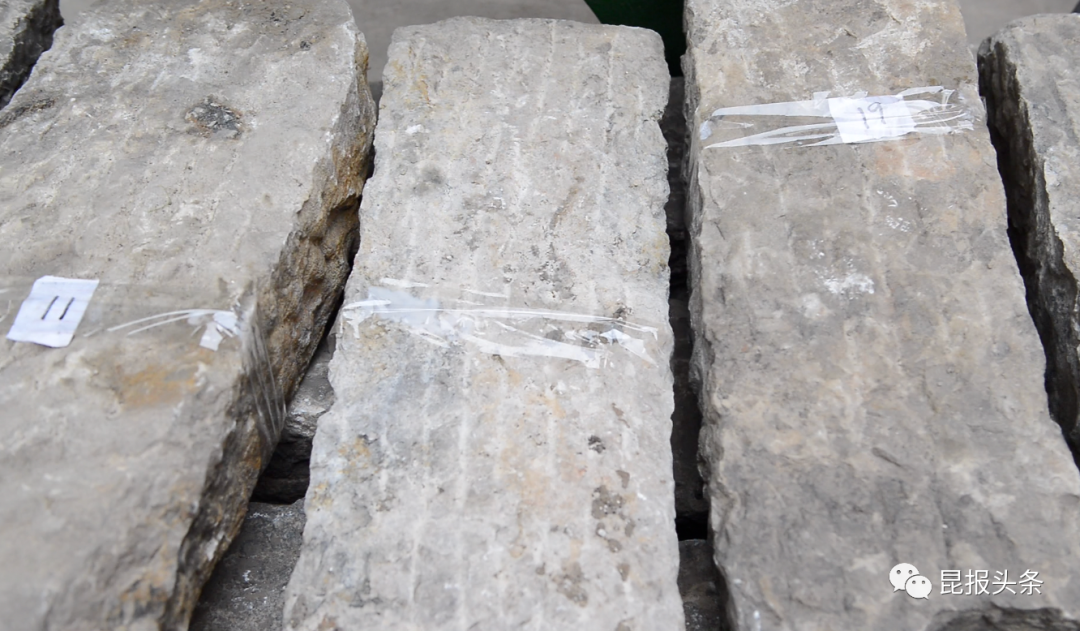 昆明信息港/cnkmxxg