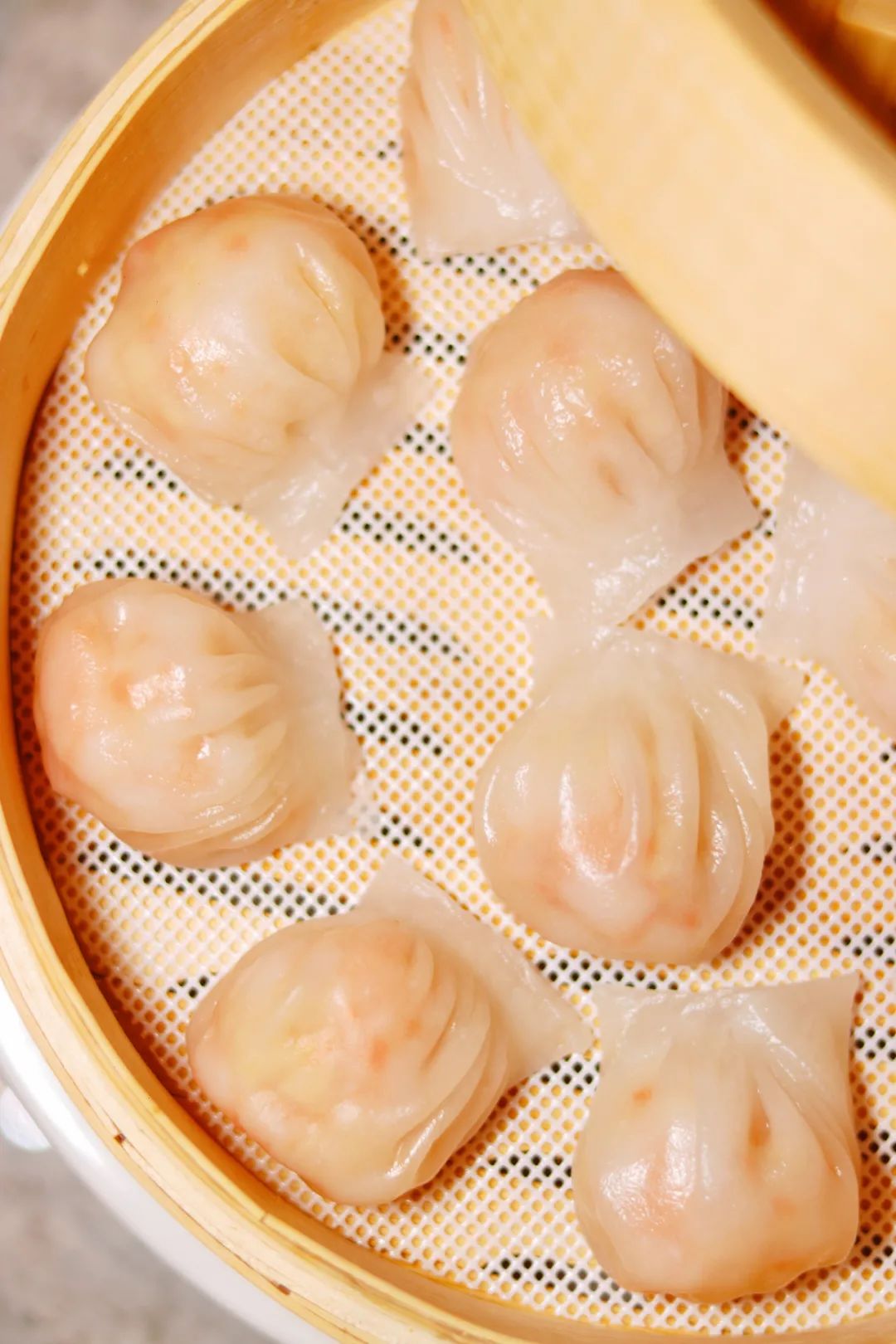 春城晚报