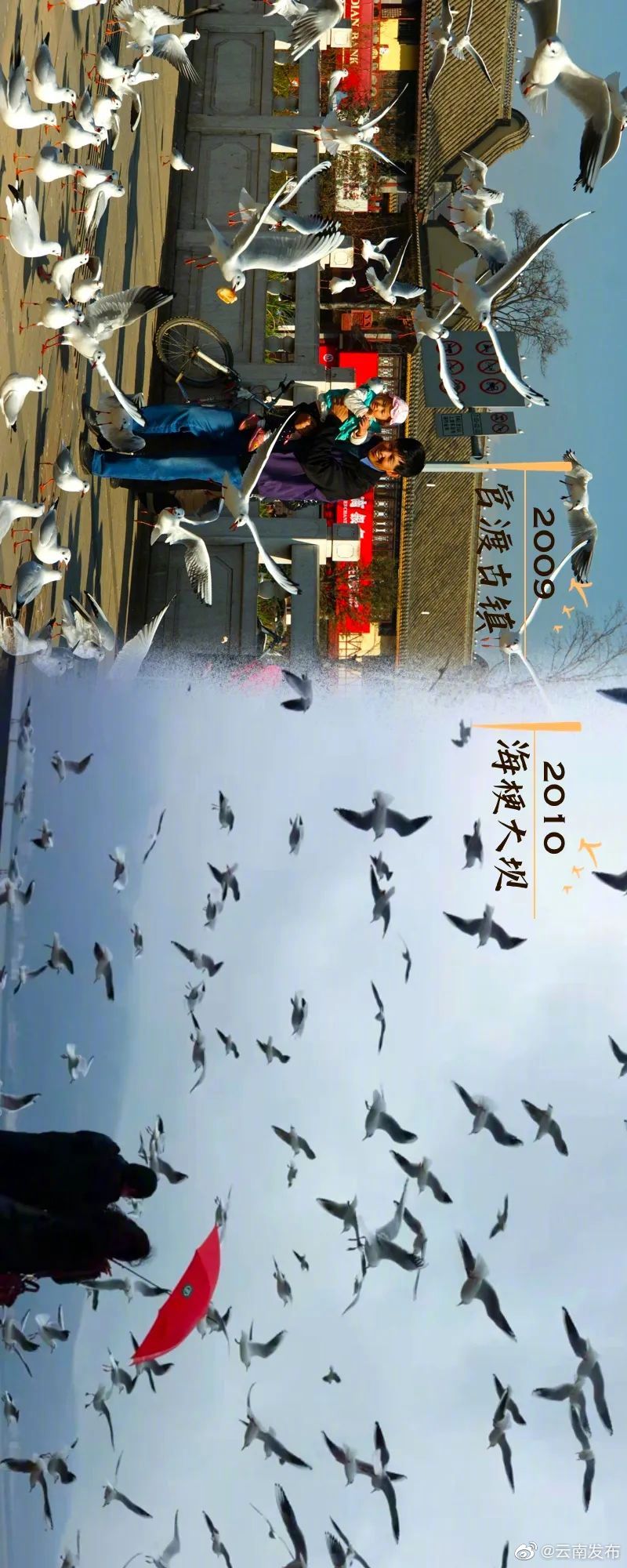 “云南发布”微博