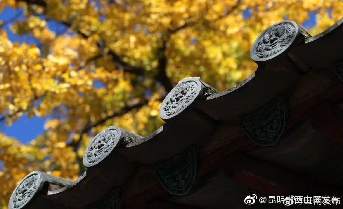 “昆明市西山区发布”微博