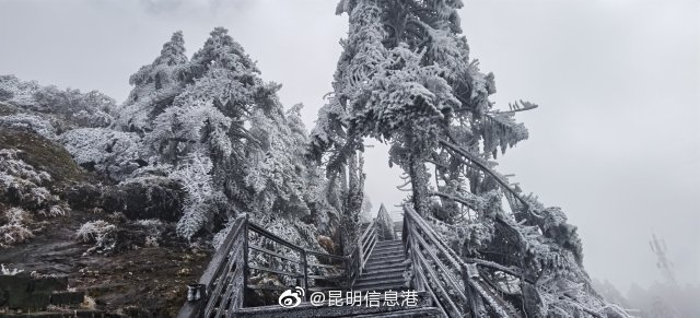 昆明信息港