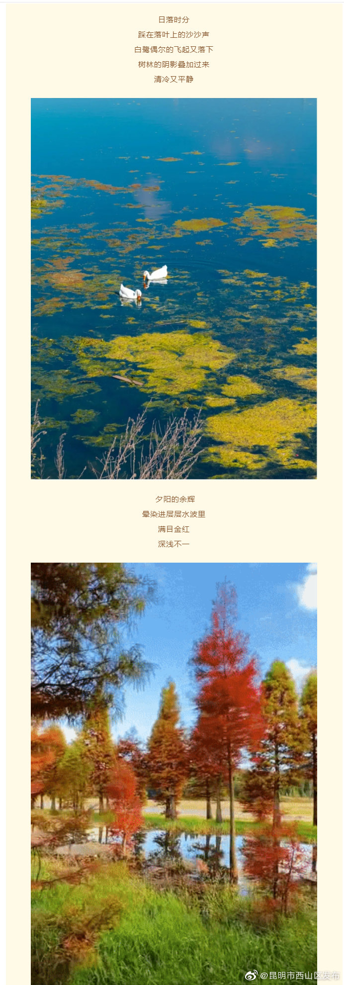 “昆明市西山区发布”微博