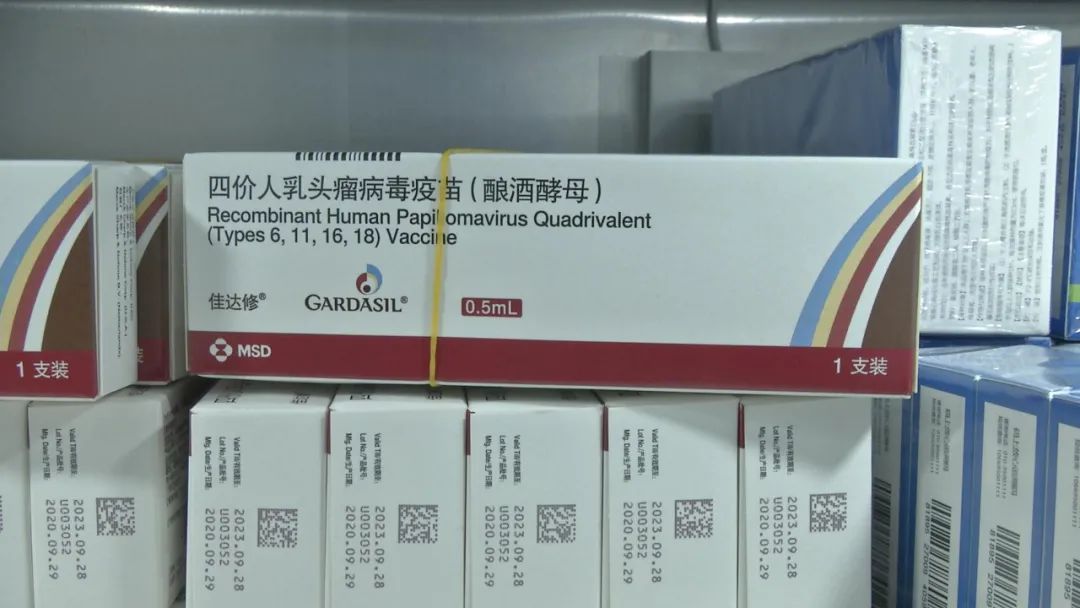 昆明信息港/cnkmxxg