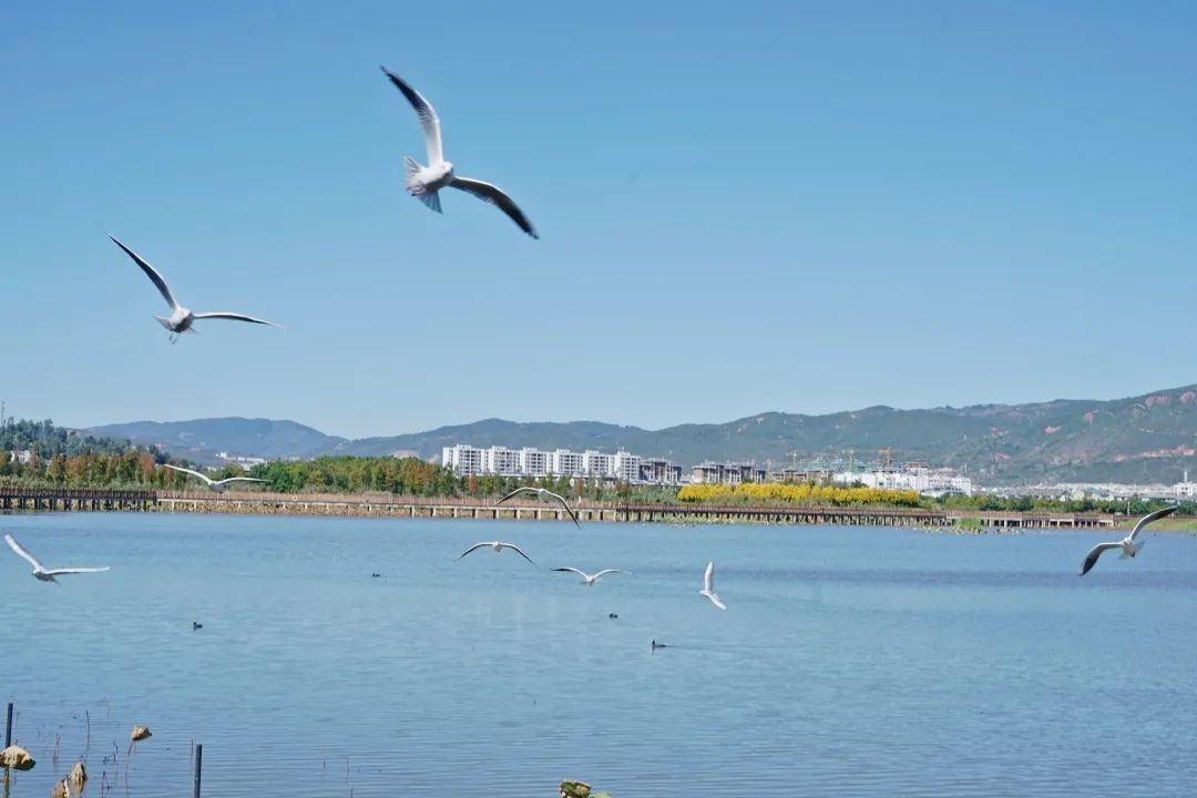 红河文旅