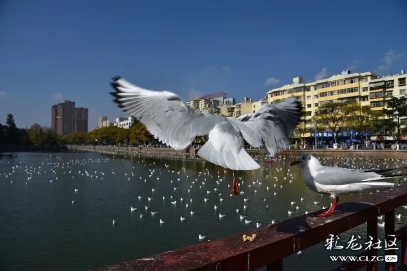 昆明信息港/cnkmxxg