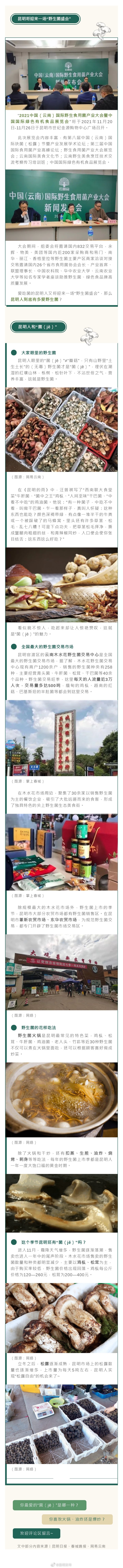 这个季节，昆明还有“菌（jě）”吃吗？