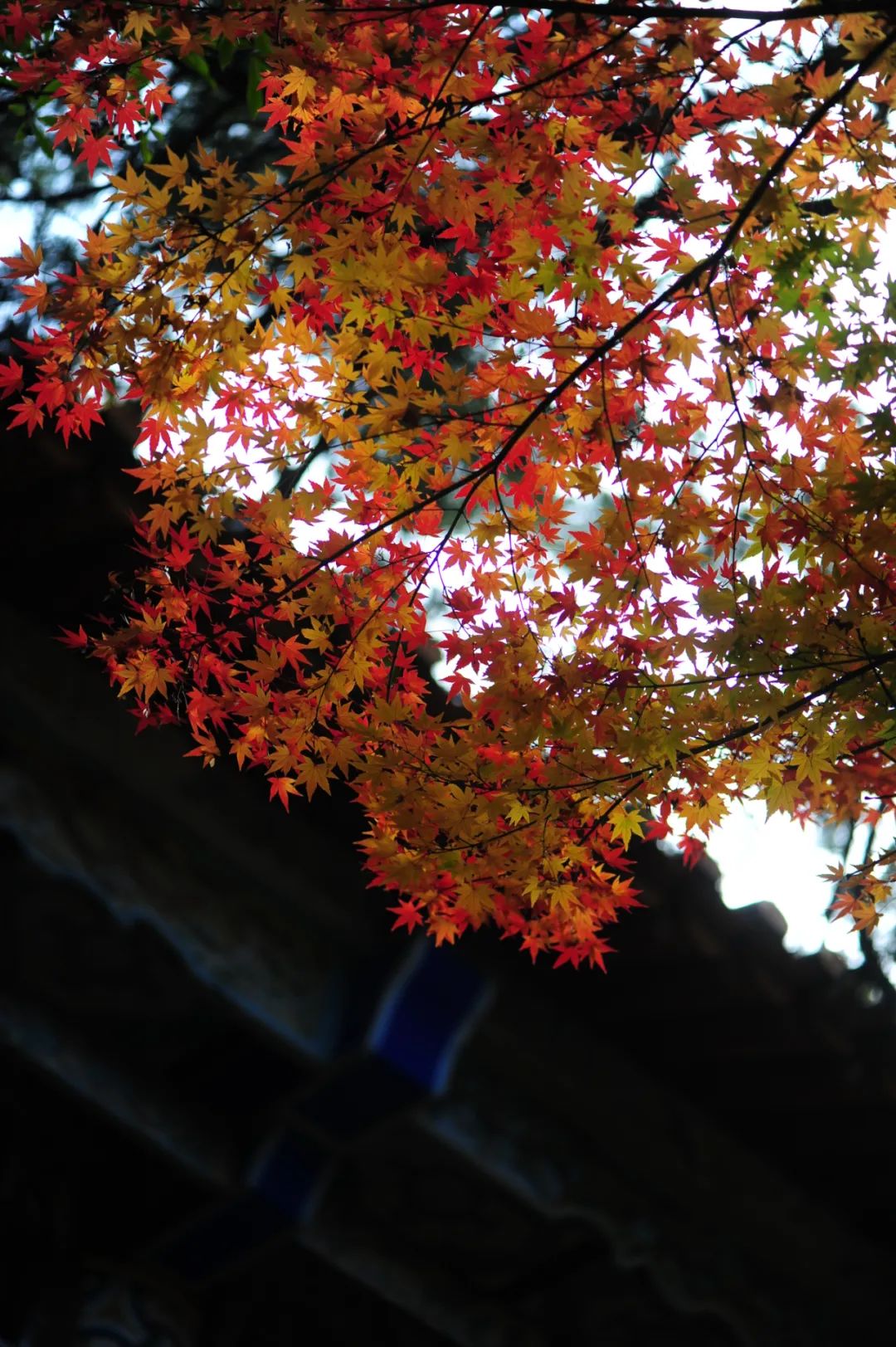 昆明市金殿名胜区