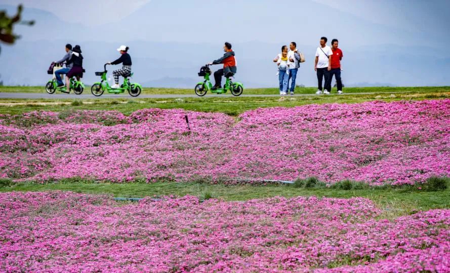 红河文旅