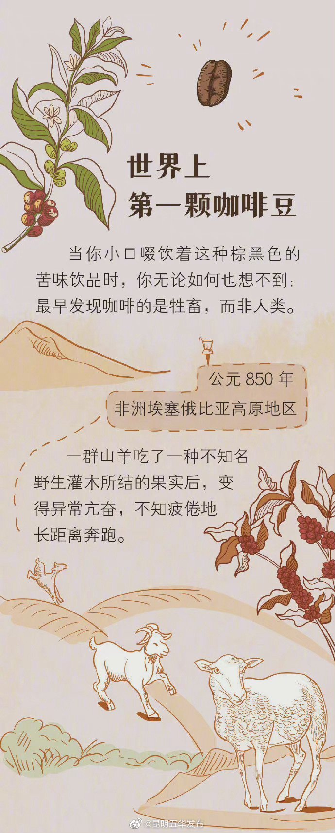 “昆明五华发布”微博