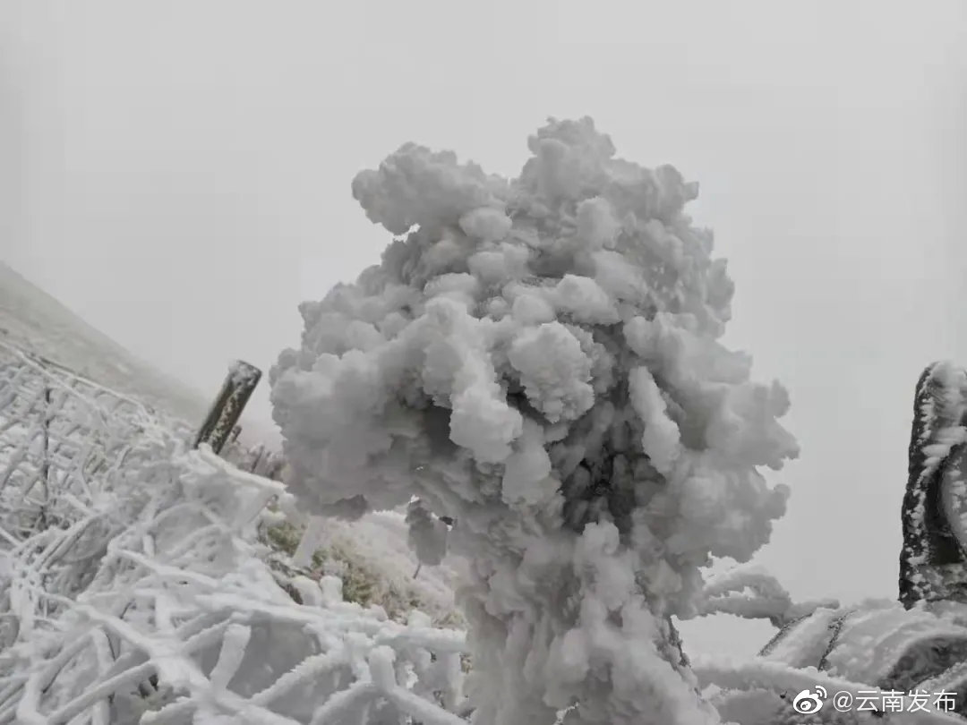 “云南发布”微博