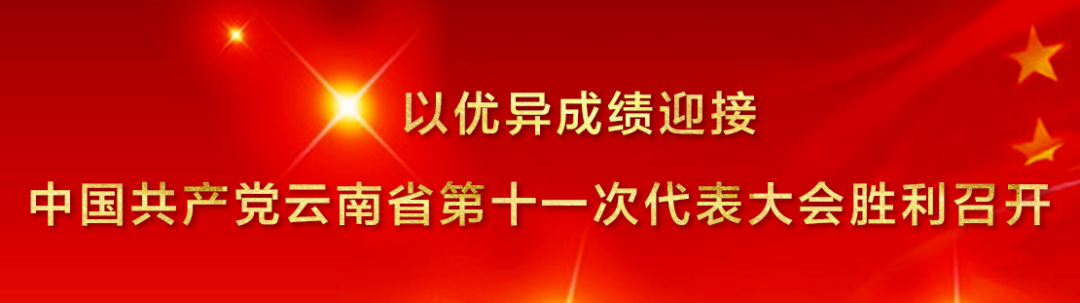 丽江新闻