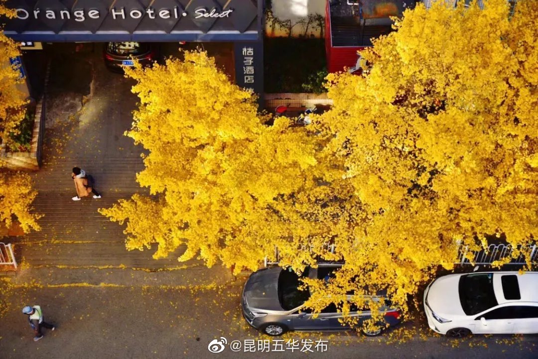 “昆明五华发布”微博