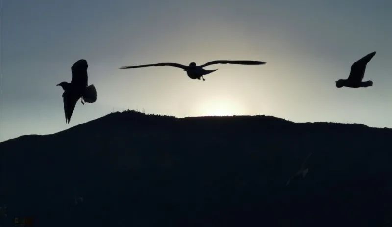 昆明滇池国家旅游度假区管理委员会(微信)