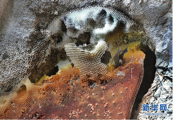 “云南发布”微博