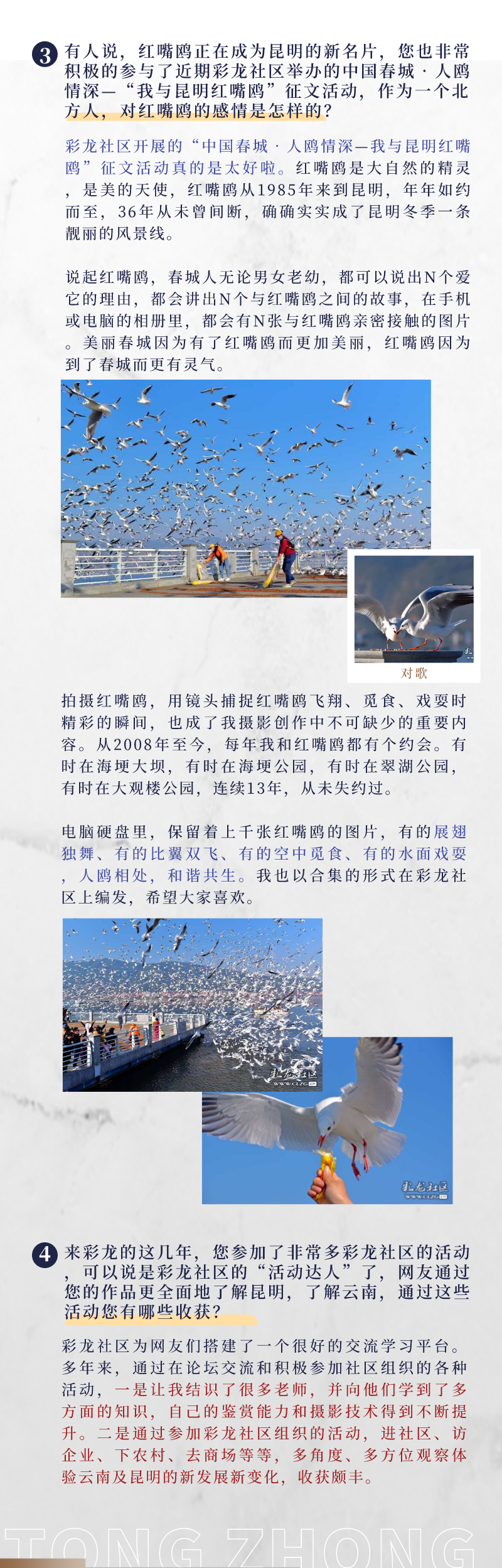 昆明信息港/cnkmxxg