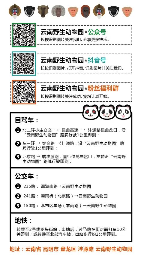 云南野生动物园(微信)