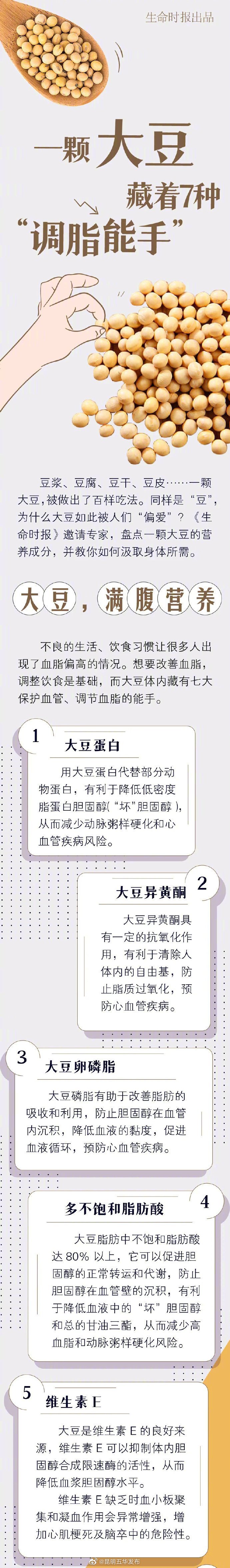 见证豆腐的高光时刻一颗大豆含7种调血脂成分