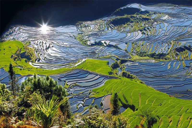 红河文旅