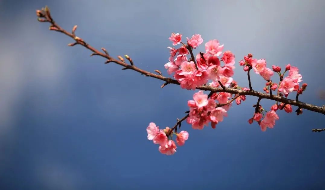 宜良检察(微信)