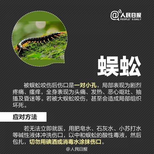 春城晚报