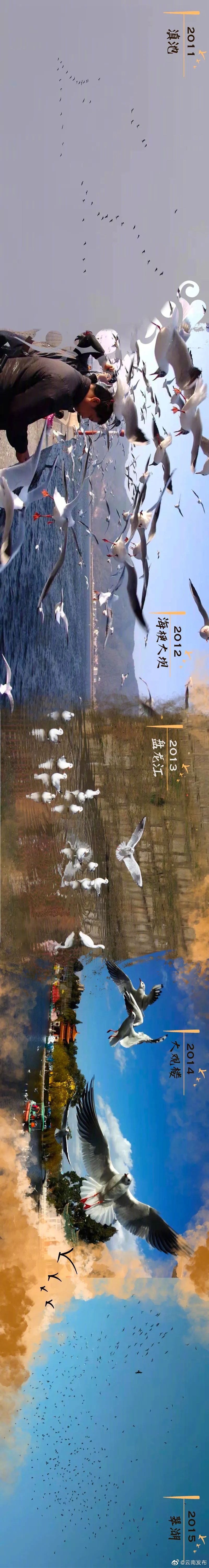 “云南发布”微博