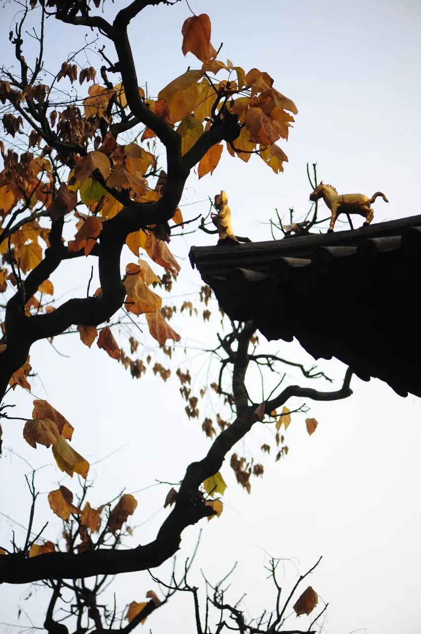 昆明市金殿名胜区