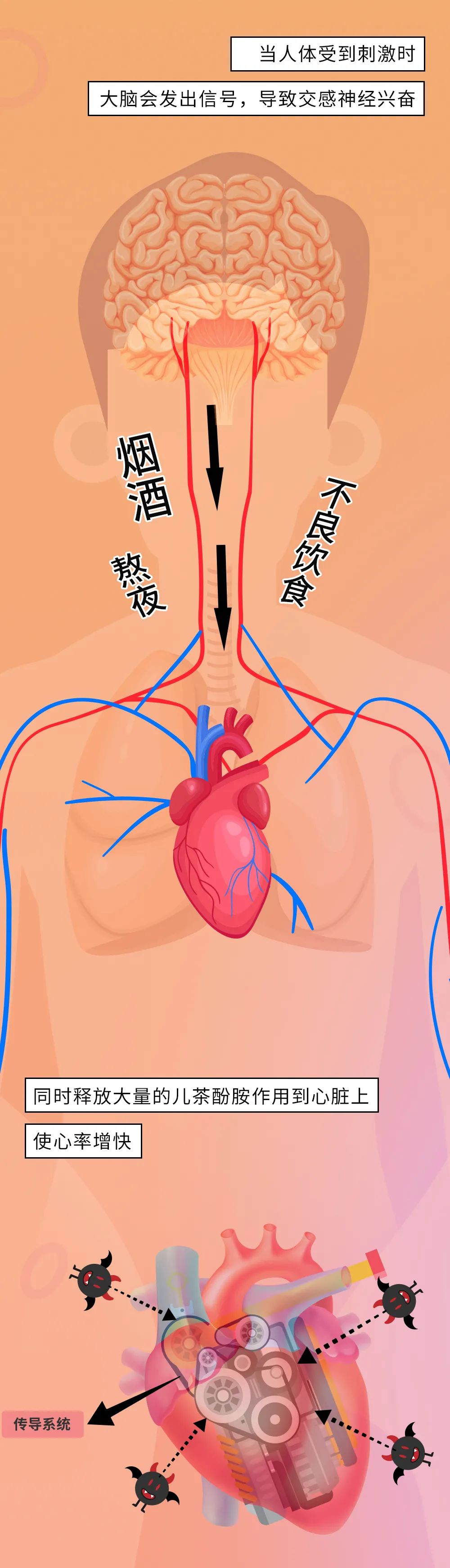 云南政协报