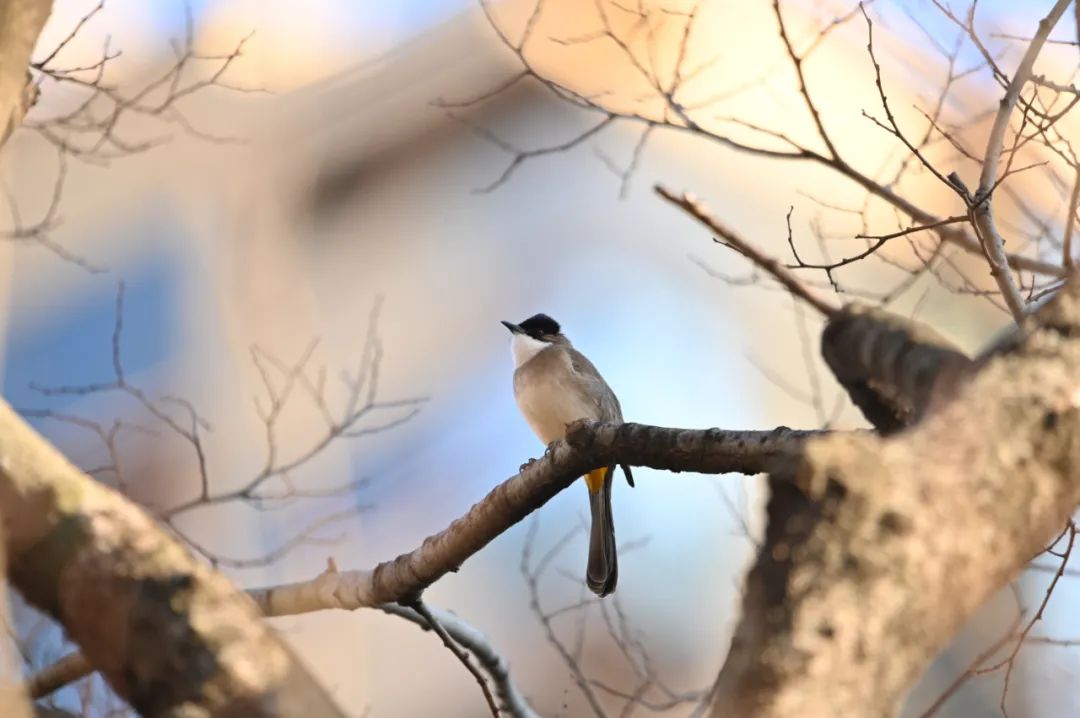 昆明市金殿名胜区