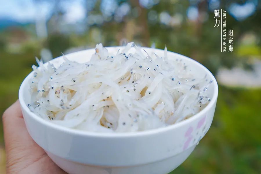 昆明阳宗海风景名胜区(微信)