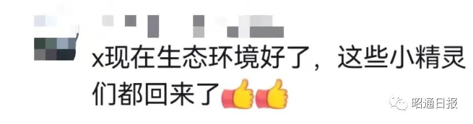 昭通日报