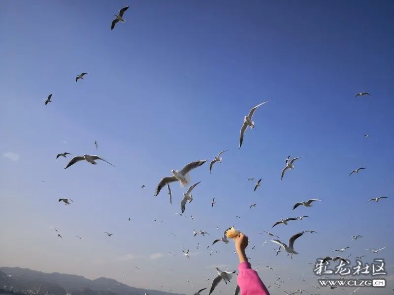 昆明信息港