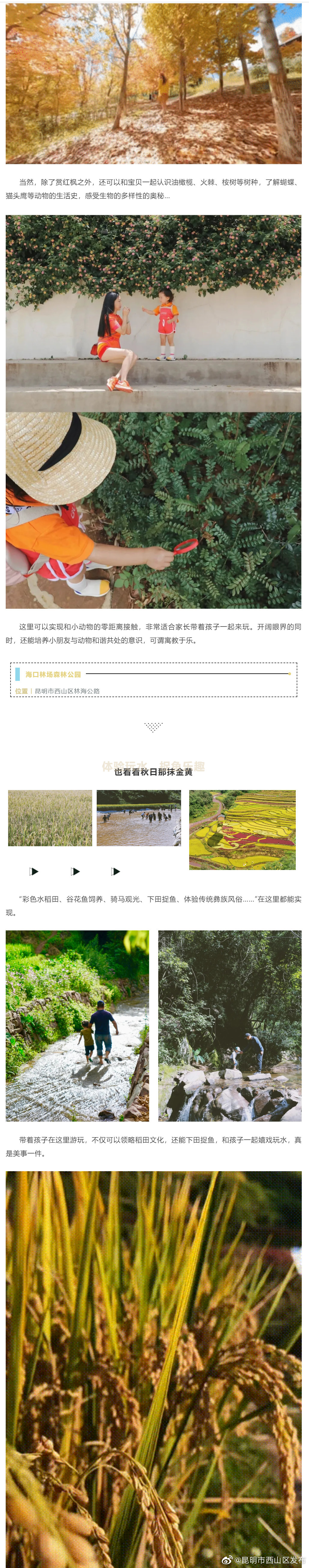 “昆明市西山区发布”微博