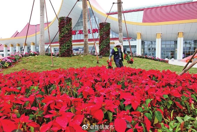 中老铁路国内段车站美化忙