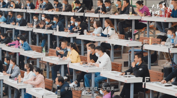 呈贡发布