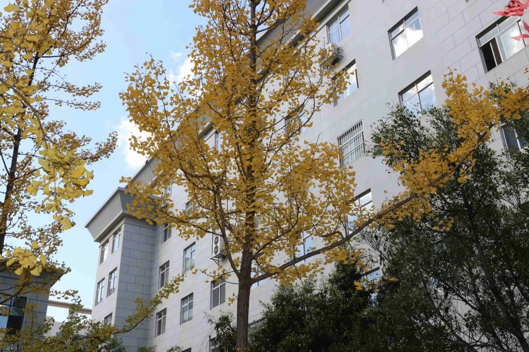 宜良检察(微信)