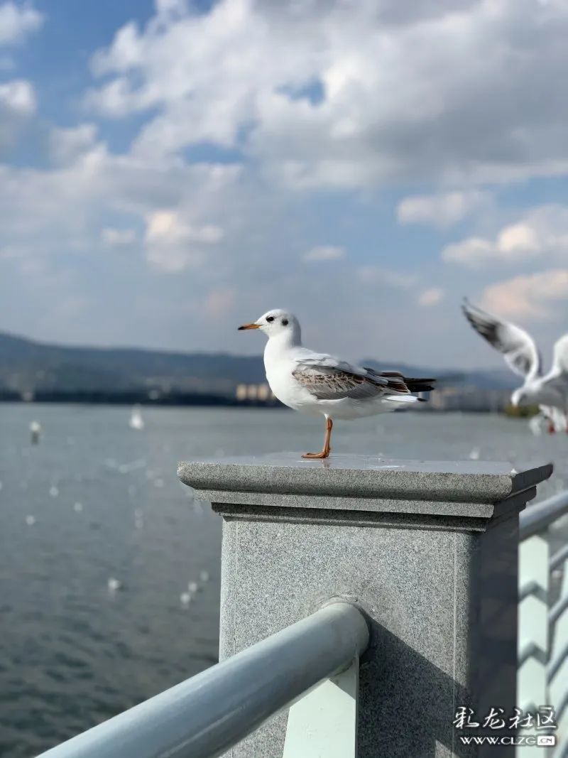 昆明信息港
