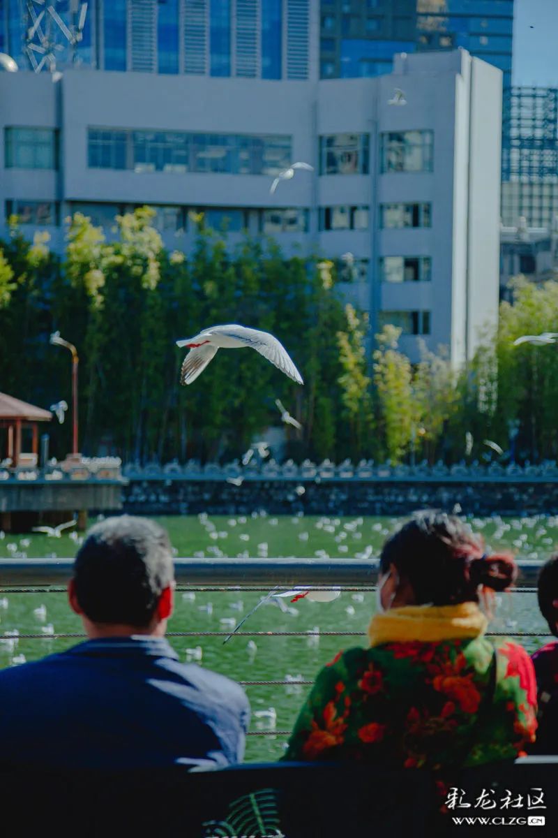 昆明信息港/cnkmxxg