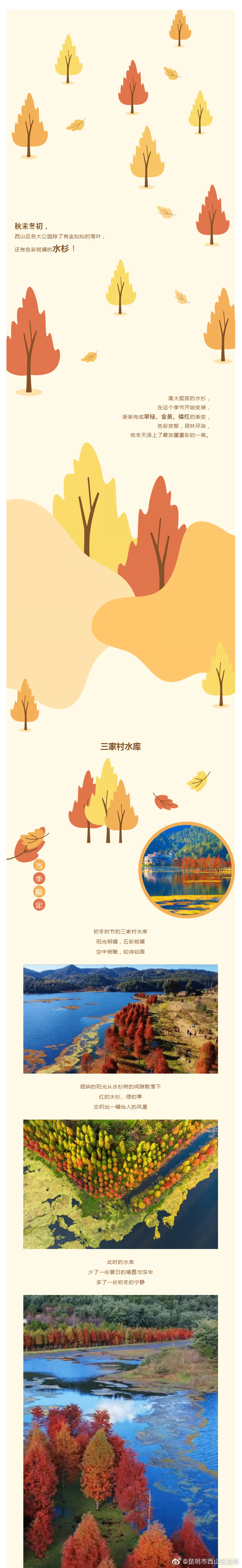 “昆明市西山区发布”微博