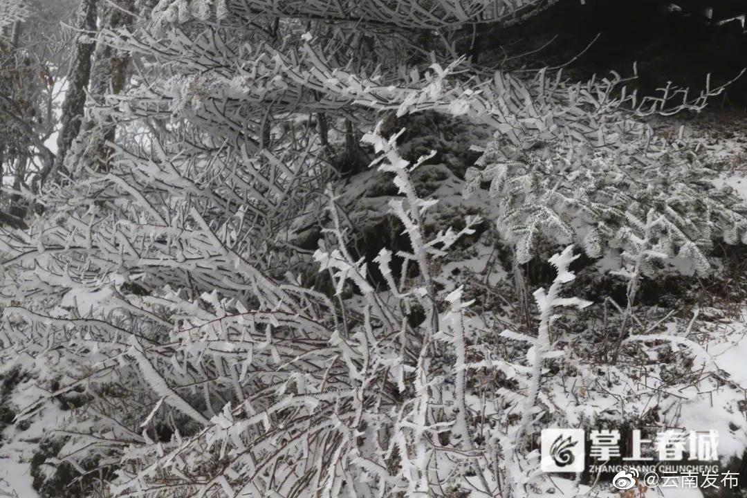 “云南发布”微博