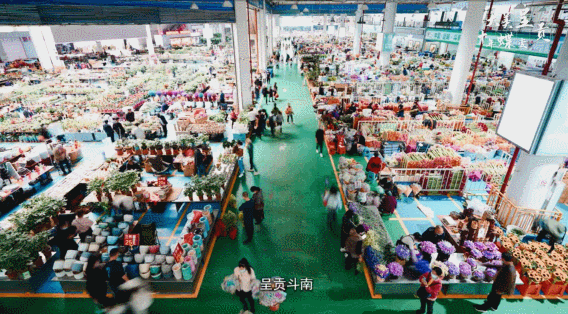 呈贡发布