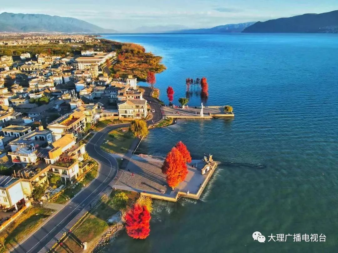 大理日报