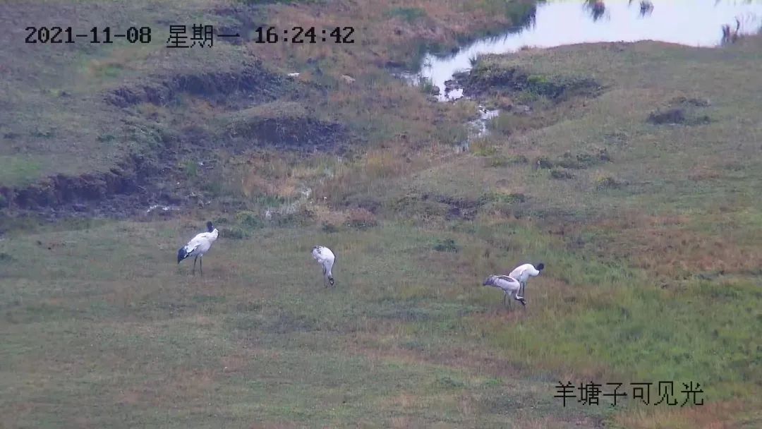 昆明发布