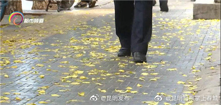 昆明发布