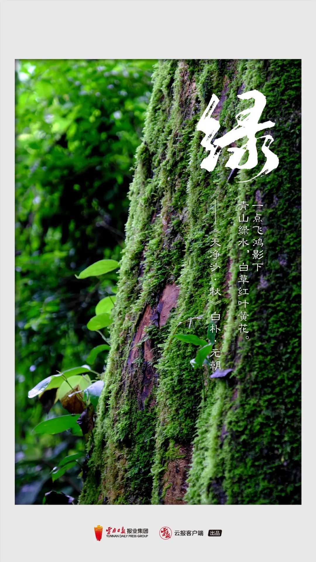 文旅云南(微信)