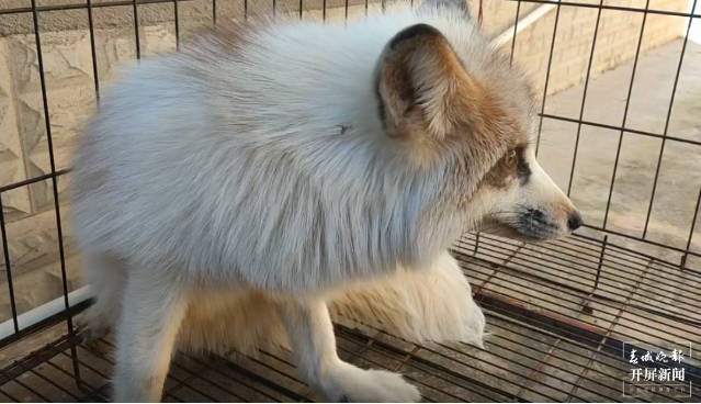 昆明信息港